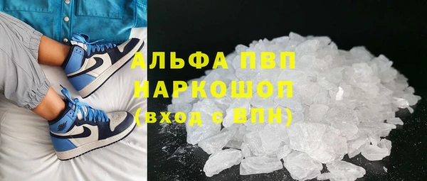 стаф Вяземский
