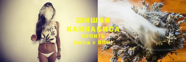 стаф Вяземский