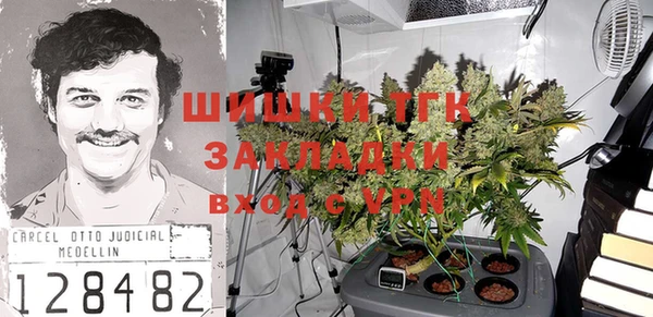 стаф Вяземский