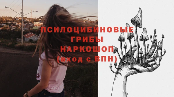стаф Вяземский