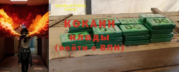 стаф Вяземский