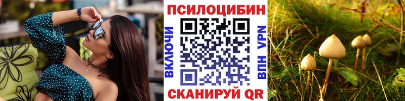 Галлюциногенные грибы прущие грибы  Купить закладки  Курильск 