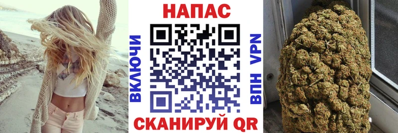 Конопля планчик  Купить закладки  Курильск 